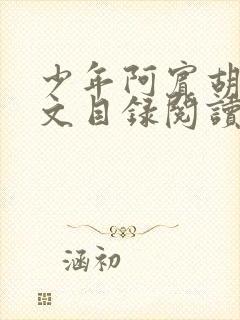 少年阿宾胡太全文目录阅读在线