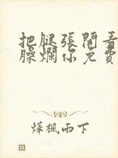把腿张开看老子臊烂你免费封面