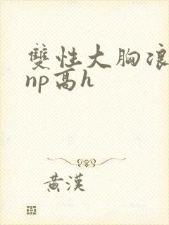 双性大胸浪荡受np高h