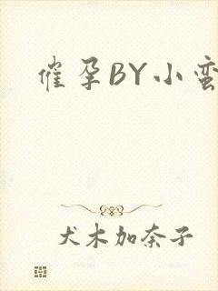 催孕BY小蛮腰