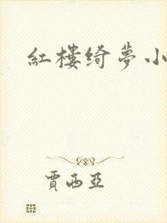 红楼绮梦小说
