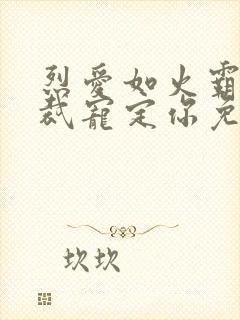 烈爱如火霸道总裁宠定你免费阅读封面