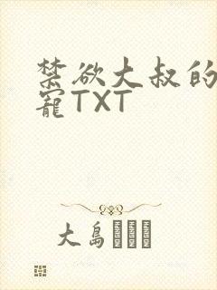 禁欲大叔的心尖宠TXT