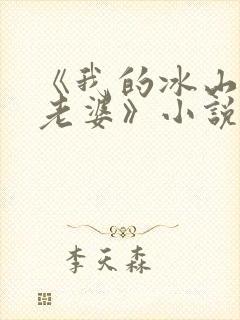 《我的冰山总裁老婆》小说