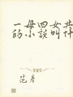 一母四女共一婿的小说叫什么