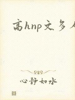 高hnp文多人