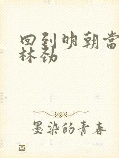 回到明朝当王爷林劲