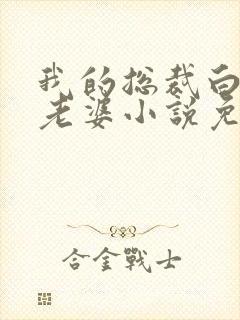 我的总裁白富美老婆小说免费
