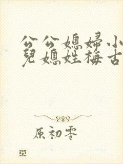 公公媳妇小说 儿媳姓梅古言免费阅读全文