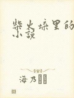柴火垛里的疯狂小说