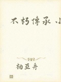 不朽传承 小说