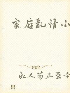 家庭乱情小说封面