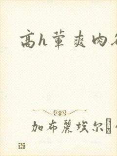 高h荤爽肉欲文