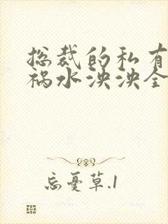 总裁的私有宝贝祸水泱泱全文阅读封面