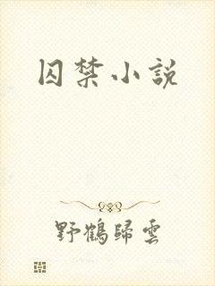 囚禁小说封面