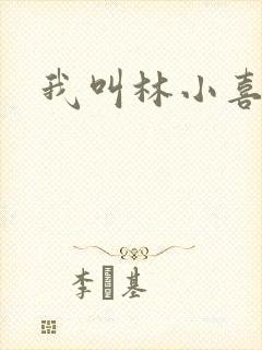 我叫林小喜17
