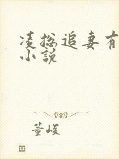 凌总追妻有点甜小说