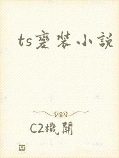ts变装小说