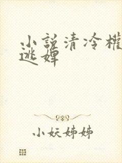 小说清冷权臣的逃婢