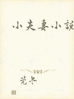 小夫妻小说