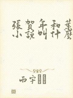 张贺年和叶繁姿小说叫什么名字
