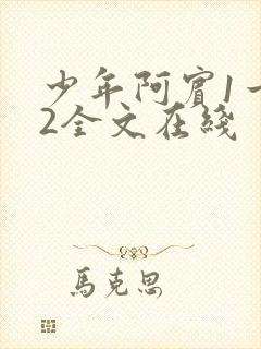 少年阿宾1一72全文在线封面