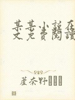 某某小说在线全文免费阅读封面
