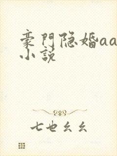 豪门隐婚aa制小说封面
