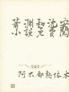 萧渊和沈安安的小说免费阅读