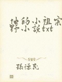 他的小祖宗甜又野小说txt