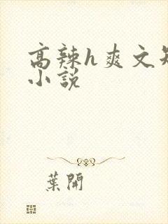 高辣h爽文短篇小说封面