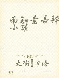 南知意帝释景的小说