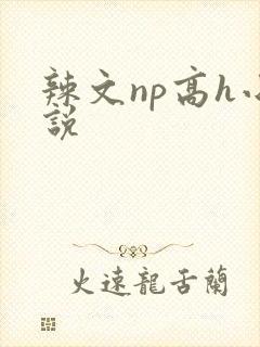 辣文np高h小说
