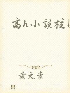 高h小说校园封面