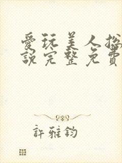 爱玩美人总攻小说完整免费阅读