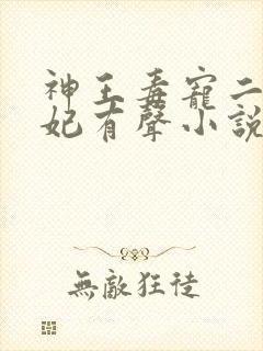 神王毒宠二嫁王妃有声小说