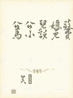 公公儿媳苏玥老马小说免费阅读