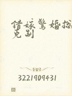 错嫁惊婚总裁请克制