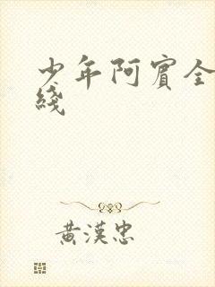 少年阿宾全文在线