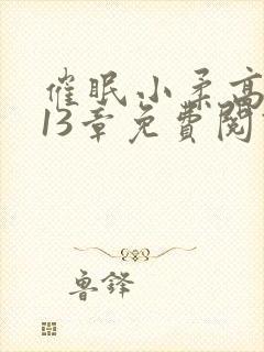 催眠小柔高达第13章免费阅读