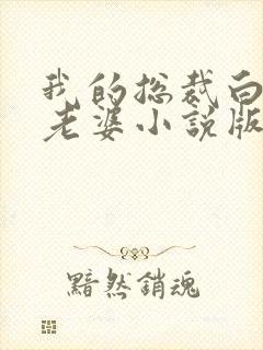 我的总裁白富美老婆小说版