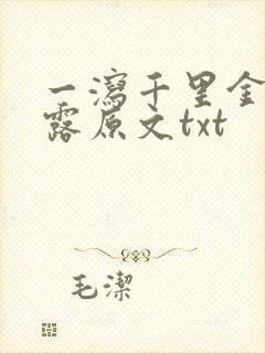 一泻千里金银花露原文txt