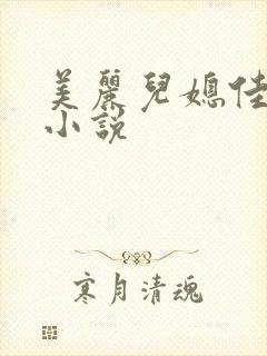 美丽儿媳佳柔 小说封面