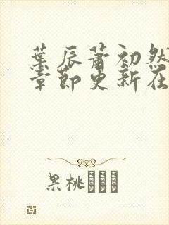 叶辰萧初然最新章节更新在线阅读
