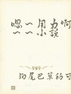 嗯～用力啊～嗯～～小说封面