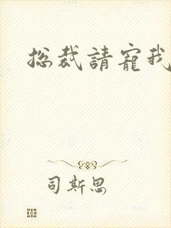 总裁请宠我