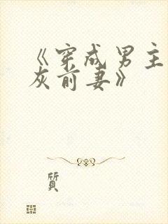 《穿成男主的炮灰前妻》封面