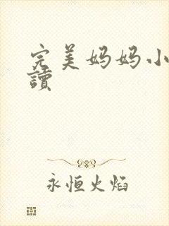 完美妈妈小说阅读封面