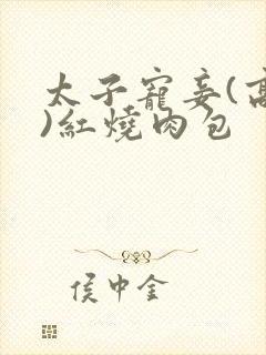 太子宠妾(高肉)红烧肉包封面