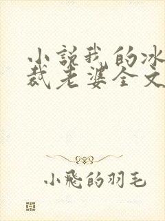 小说我的冰山总裁老婆全文阅读封面